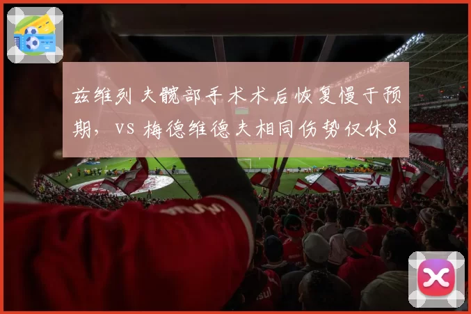 兹维列夫髋部手术术后恢复慢于预期，vs 梅德维德夫相同伤势仅休8周