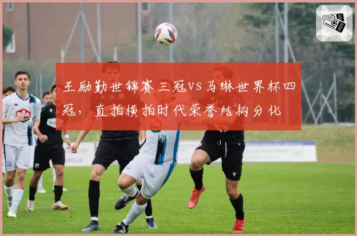 王励勤世锦赛三冠vs马琳世界杯四冠,直拍横拍时代荣誉结构分化