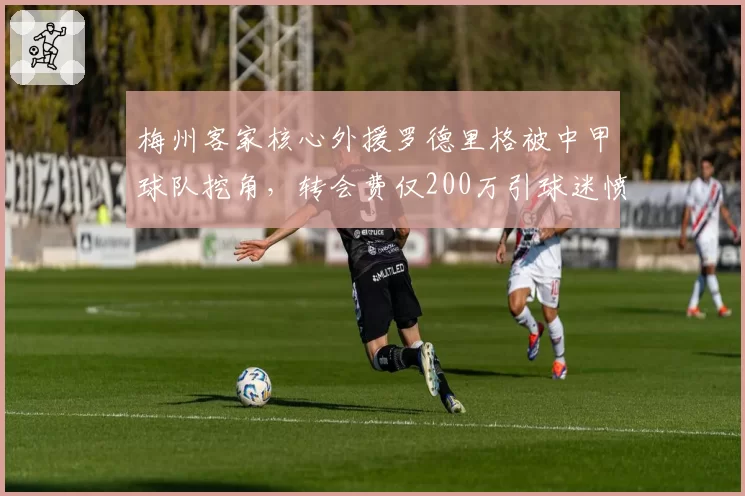 梅州客家核心外援罗德里格被中甲球队挖角，转会费仅200万引球迷愤怒抗议
