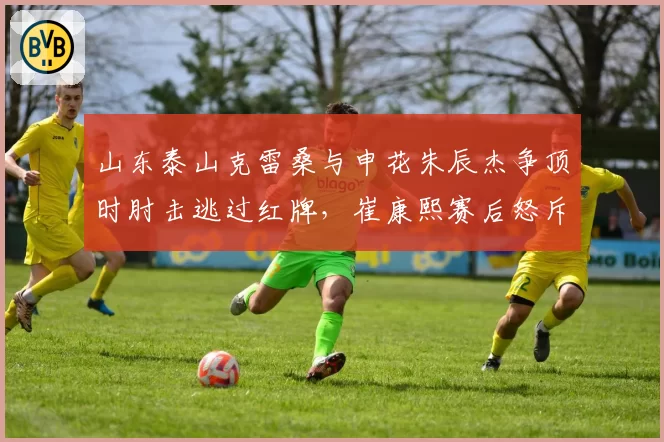 山东泰山克雷桑与申花朱辰杰争顶时肘击逃过红牌，崔康熙赛后怒斥裁判尺度不一