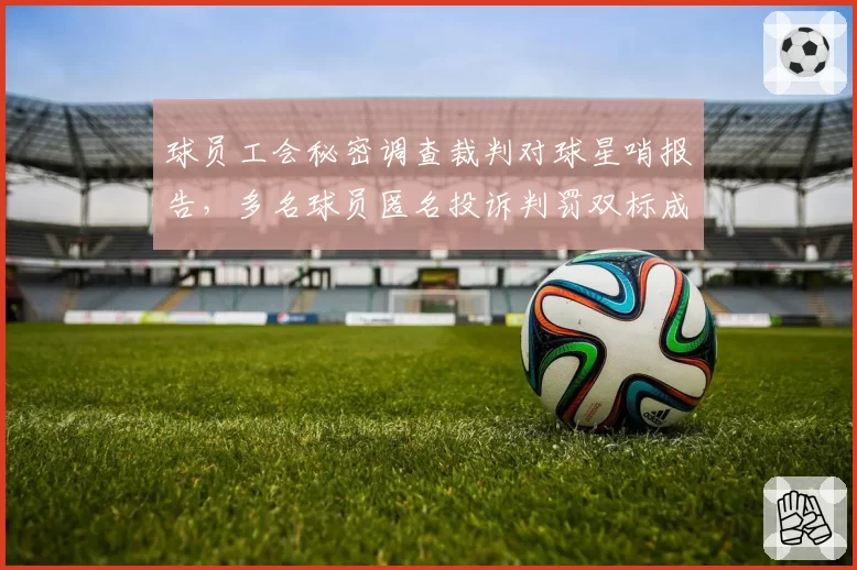 球员工会秘密调查裁判对球星哨报告,多名球员匿名投诉判罚双标成常态